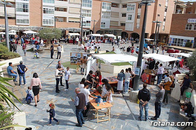 7 Plaza Solidaria Totana 2017 - 1