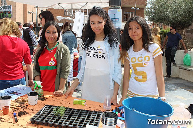 7 Plaza Solidaria Totana 2017 - 3