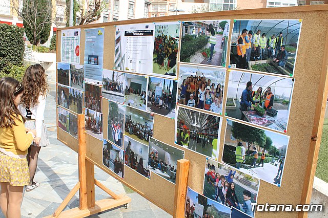 7 Plaza Solidaria Totana 2017 - 11