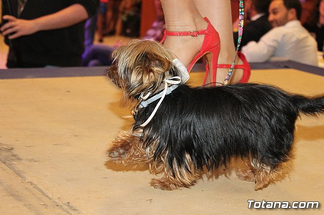 Desfile Boutique Ana (cena Hdad. de Santa Mara Cleof) - 131