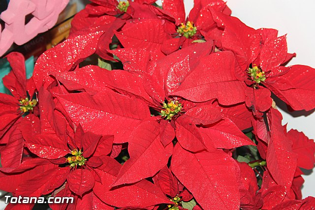 I Aniversario Centro de Esttica Elena Gonzlez - 8