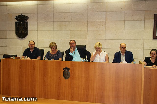 Pleno extraordinario, sorteo de mesas, LGTB y Lnea Alta Tensin  - 1