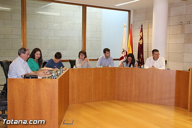 Pleno extraordinario, sorteo de mesas, LGTB y Lnea Alta Tensin  - 2