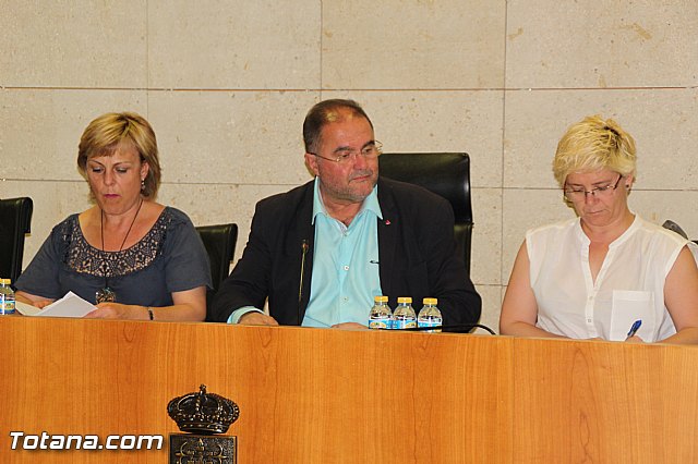 Pleno extraordinario, sorteo de mesas, LGTB y Lnea Alta Tensin  - 3