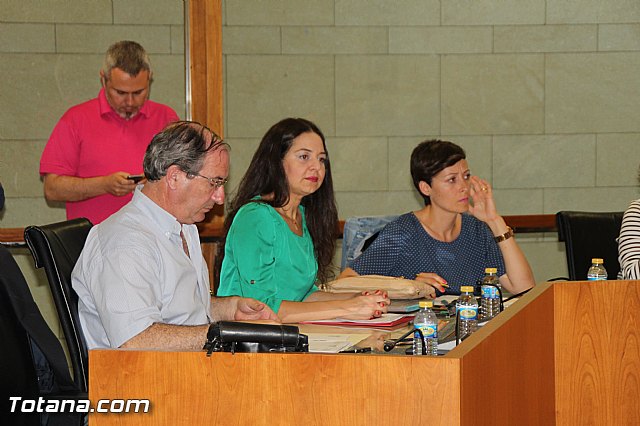 Pleno extraordinario, sorteo de mesas, LGTB y Lnea Alta Tensin  - 5