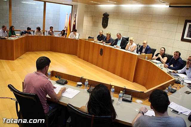 Pleno extraordinario, sorteo de mesas, LGTB y Lnea Alta Tensin  - 24