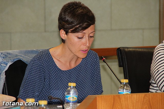 Pleno extraordinario, sorteo de mesas, LGTB y Lnea Alta Tensin  - 29