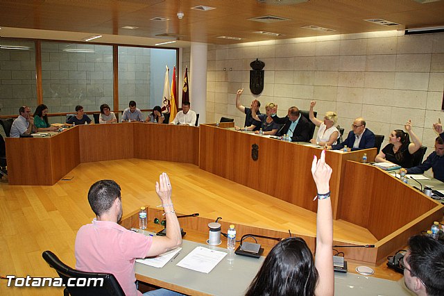 Pleno extraordinario, sorteo de mesas, LGTB y Lnea Alta Tensin  - 30