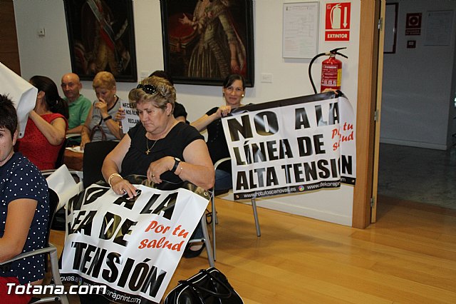 Pleno extraordinario, sorteo de mesas, LGTB y Lnea Alta Tensin  - 34