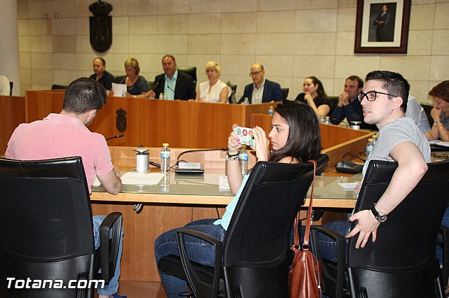 Pleno extraordinario, sorteo de mesas, LGTB y Lnea Alta Tensin  - 42