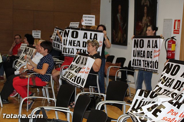 Pleno extraordinario, sorteo de mesas, LGTB y Lnea Alta Tensin  - 48