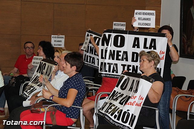 Pleno extraordinario, sorteo de mesas, LGTB y Lnea Alta Tensin  - 49