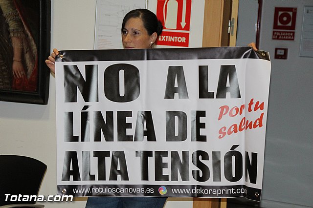 Pleno extraordinario, sorteo de mesas, LGTB y Lnea Alta Tensin  - 50