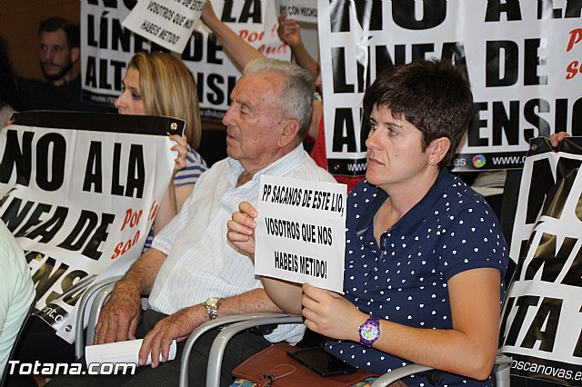 Pleno extraordinario, sorteo de mesas, LGTB y Lnea Alta Tensin  - 51