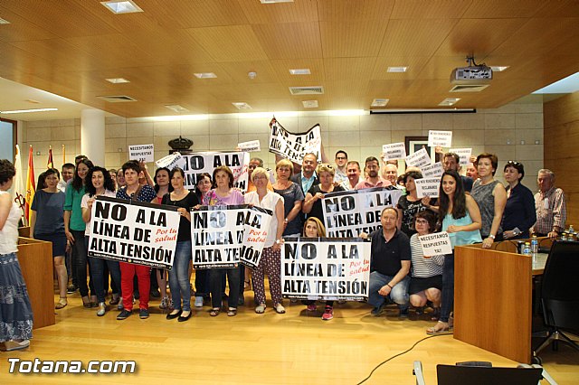 Pleno extraordinario, sorteo de mesas, LGTB y Lnea Alta Tensin  - 56