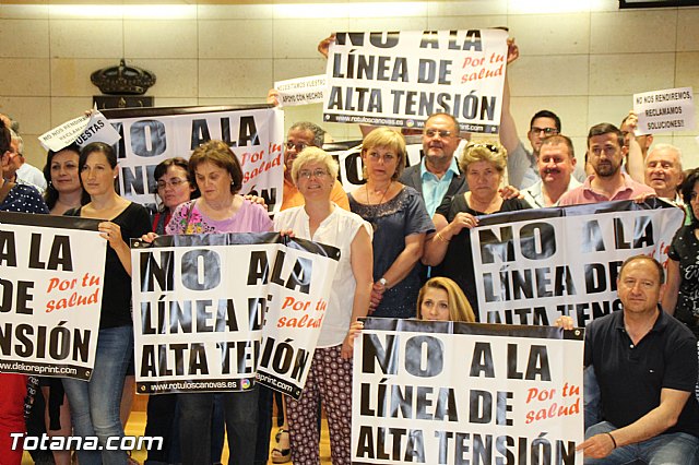 Pleno extraordinario, sorteo de mesas, LGTB y Lnea Alta Tensin  - 59