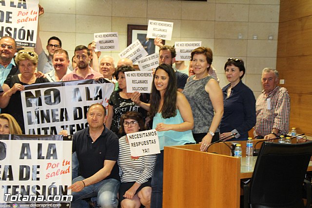 Pleno extraordinario, sorteo de mesas, LGTB y Lnea Alta Tensin  - 60