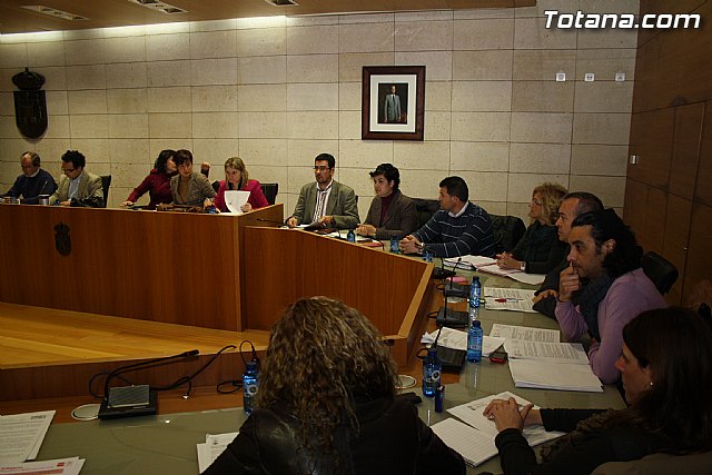 Pleno ordinario enero 2012 - 2