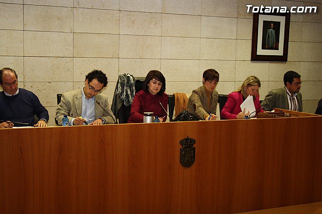Pleno ordinario enero 2012 - 3