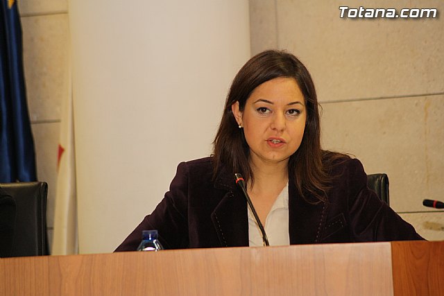 Pleno ordinario enero 2012 - 17