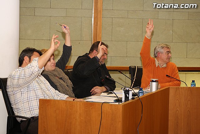 Pleno ordinario enero 2012 - 24