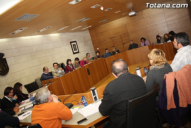 Pleno ordinario enero 2012 - 27