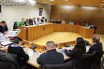pleno enero 2016