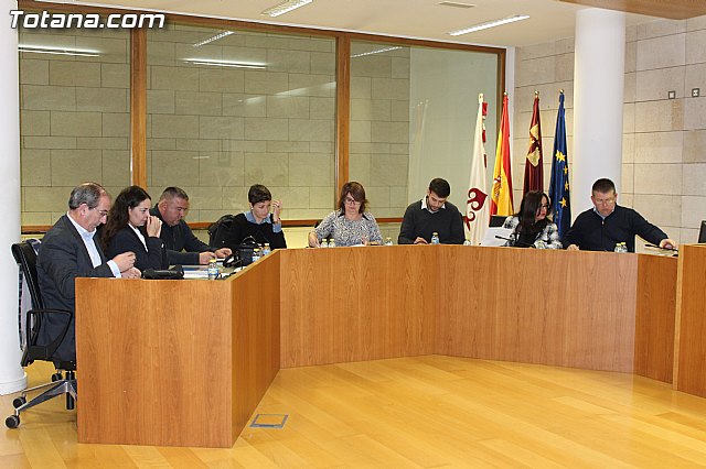 Pleno ordinario enero 2016 - 6