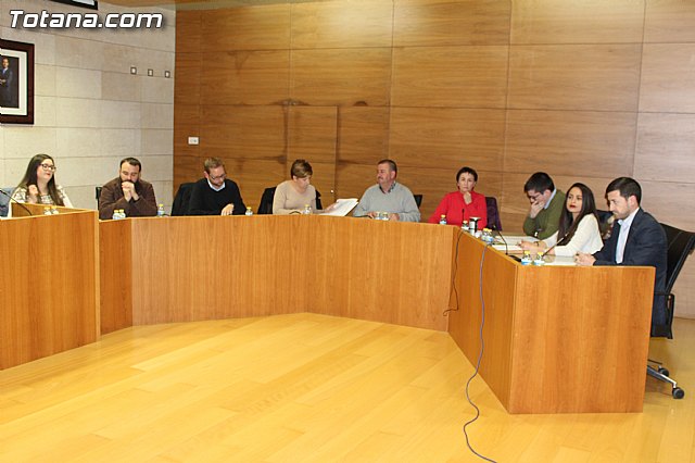 Pleno ordinario enero 2016 - 8 Pleno ordinario enero 2016 - 8