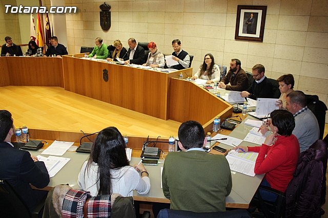 Pleno ordinario enero 2016 - 11