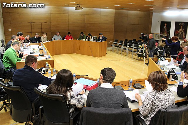 Pleno ordinario enero 2016 - 13