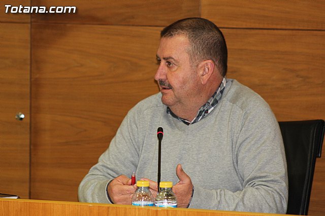 Pleno ordinario enero 2016 - 16