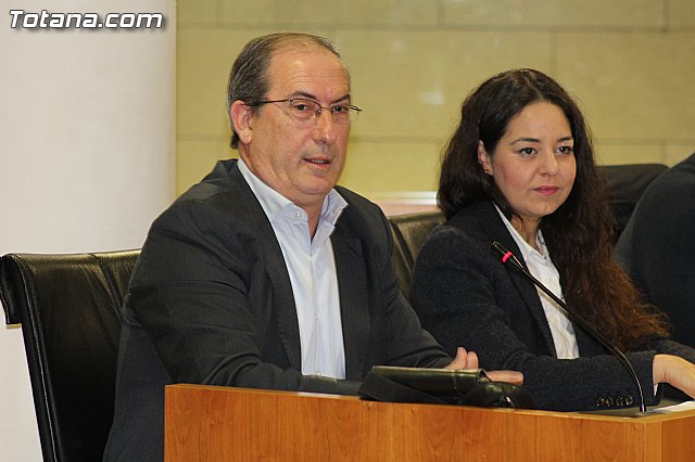 Pleno ordinario enero 2016 - 17