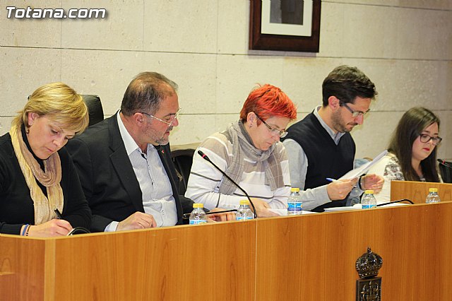 Pleno ordinario enero 2016 - 31