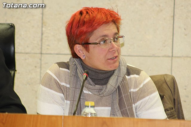 Pleno ordinario enero 2016 - 45 Pleno ordinario enero 2016 - 45