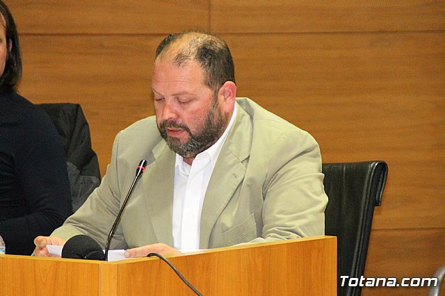 Pleno ordinario febrero 2018 - 11