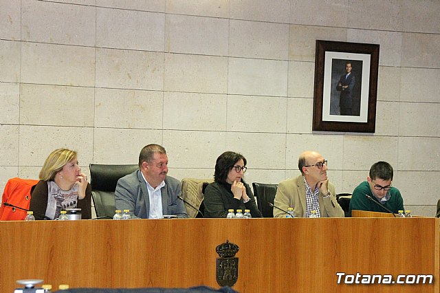 Pleno ordinario febrero 2018 - 12