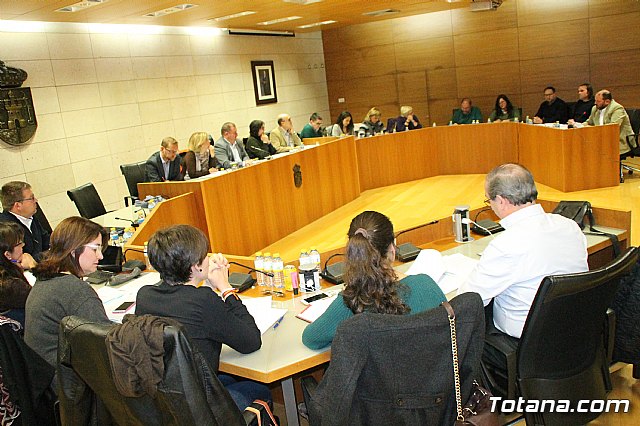 Pleno ordinario febrero 2018 - 13