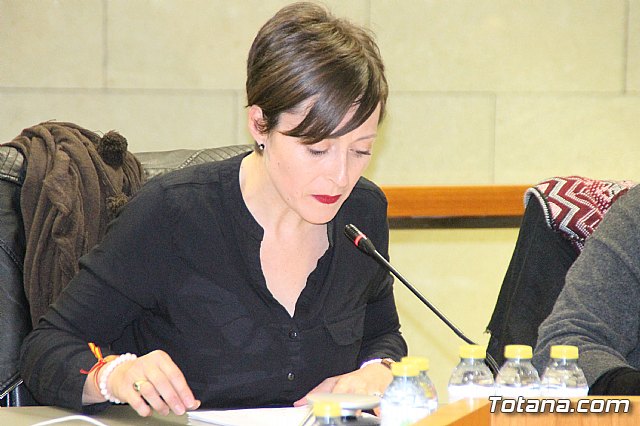 Pleno ordinario febrero 2018 - 15