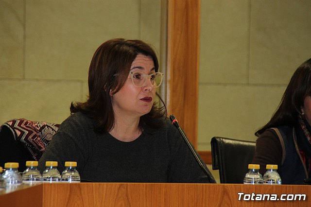 Pleno ordinario febrero 2018 - 17