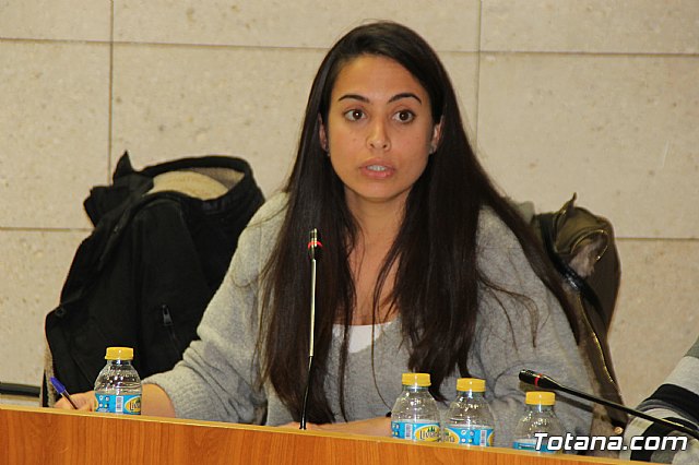 Pleno ordinario febrero 2018 - 20