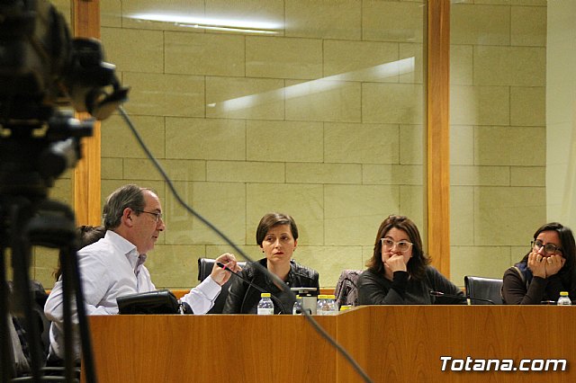 Pleno ordinario febrero 2018 - 28