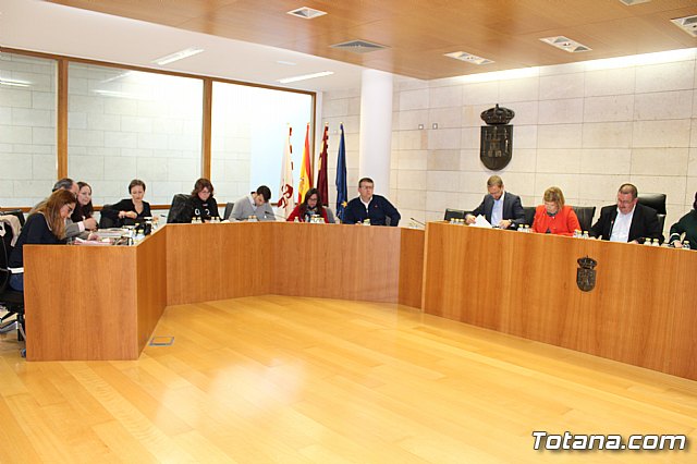 Pleno ordinario marzo 2018 - 1