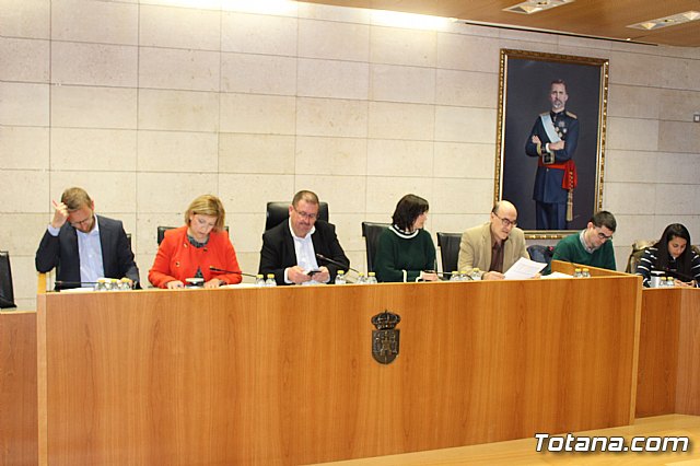 Pleno ordinario marzo 2018 - 4