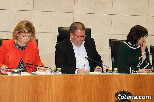 Pleno ordinario marzo 2018 - 8