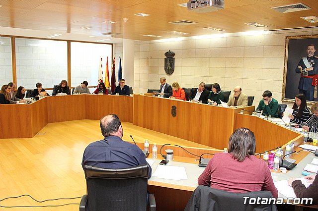 Pleno ordinario marzo 2018 - 11