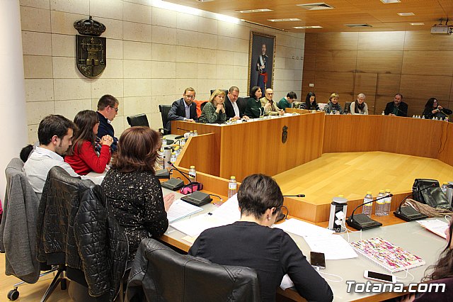 Pleno ordinario marzo 2018 - 15