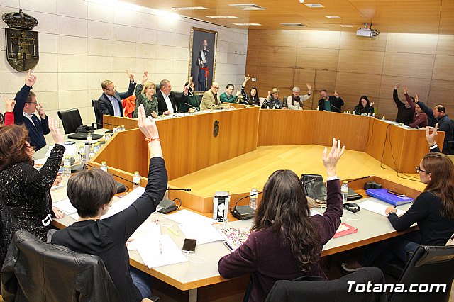 Pleno ordinario marzo 2018 - 17