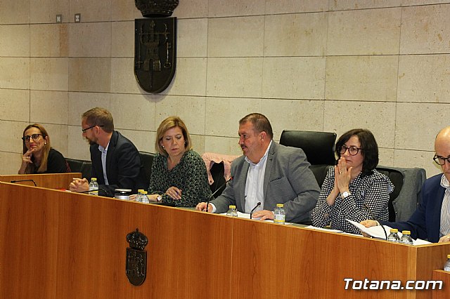 Pleno ordinario abril 2018 - 17