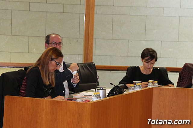 Pleno ordinario abril 2018 - 28